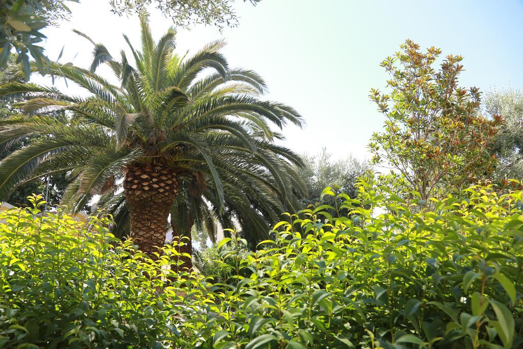 אפרטהוטל פלומרי Sea Sun מראה חיצוני תמונה